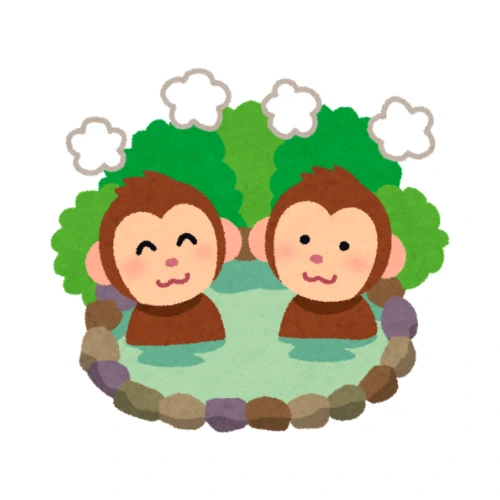 monkeys in onsen