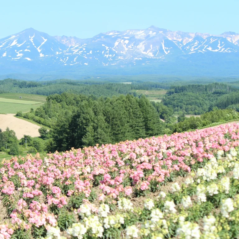 hokkaido biei